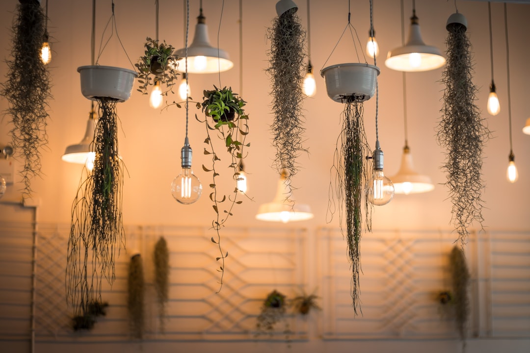 Are LED Grow Lights Worth It for Houseplants?
