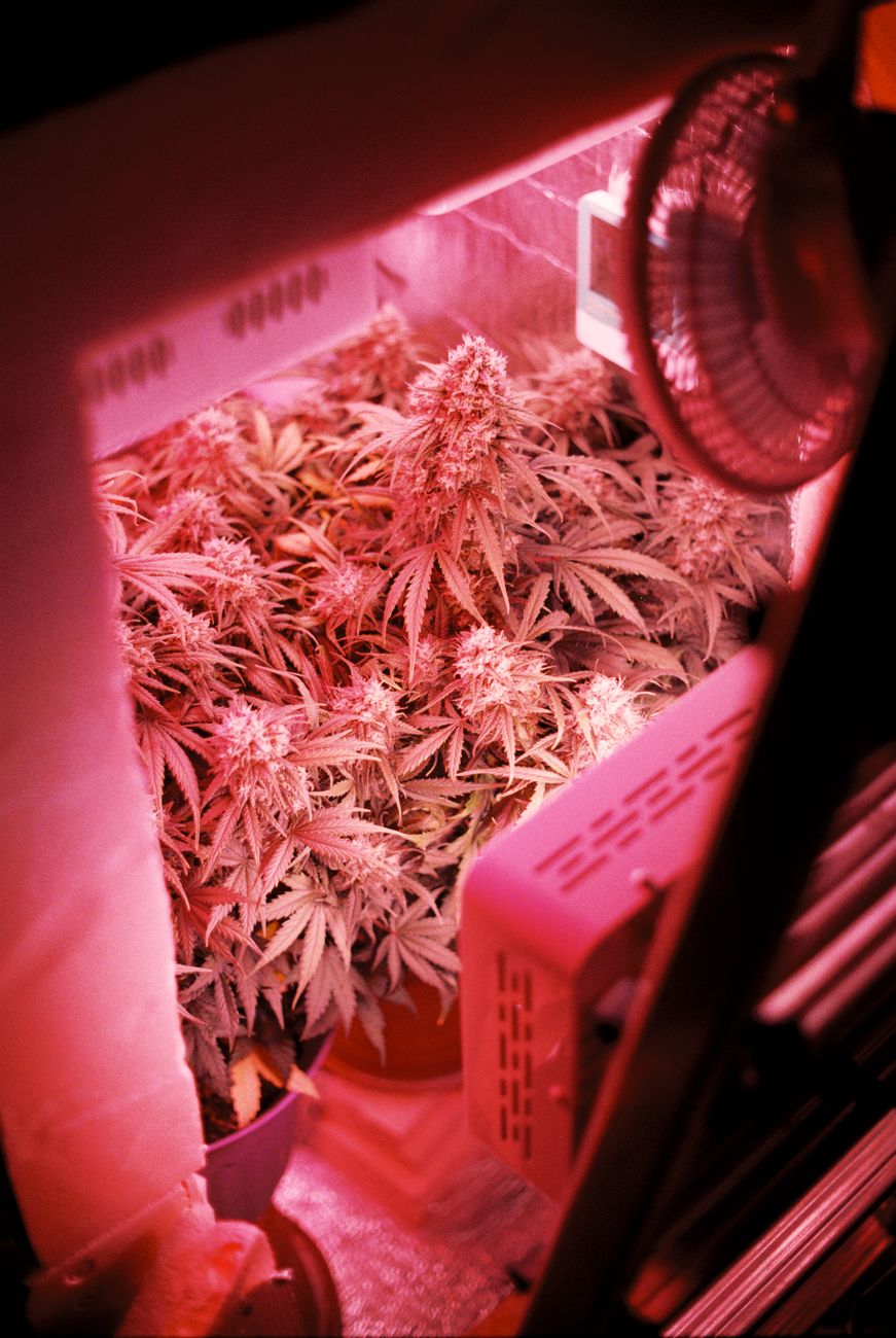 How to Check Grow Light PPFD Without a PAR Meter